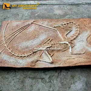 Mein Dino AA-F124 Science Museum Hohe Simulation Drachens kelett Fossil zu verkaufen