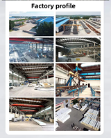 Bâtiment d'atelier industriel moderne en structure d'acier préfabriqué Q355B pour la fabrication et la construction d'entrepôts