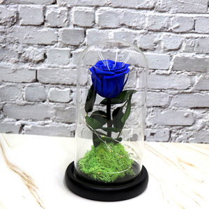 Rose unique préservée sous cloche en verre avec lumières LED - Alimentée par piles, base en <span class=keywords><strong>mousse</strong></span> - Décoration romantique pour la maison et cadeau - Product Image 2