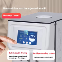 Générateur d'hydrogène et d'oxygène, vente directe usine, SPE PEM, 450ml, 900ml, 1500ml, 1800ml, machine H2 domestique, inhalateur de gaz pour usage domestique