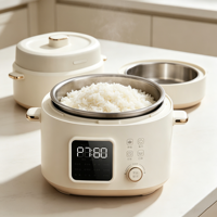 Cuisinière à pression électrique multifonctionnelle pour la maison, avec cuve intérieure en acier inoxydable, pour faire des soupes, du porridge et du riz, cuisinière à pression intelligente