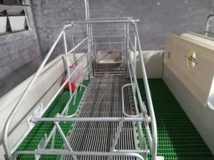 Caisses de mise bas triangulaires de 2,4 m de long utilisant un plancher à lattes - Product Image 6