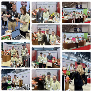 Cajas de Embalaje para Hamburguesas, Cajas de Cartón Plegables Resistentes a la Grasa, Caja para Hamburguesas <span class=keywords><strong>Shake</strong></span> Shack para Fiestas en Casa - Product Image 6