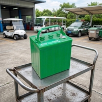 Batteries au plomb-acide 6V, 8V, 12V, batteries au plomb-acide à électrolyte liquide. Vente en gros de voiturettes de golf électriques/véhicules touristiques.