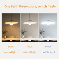 Ampoule LED A19 E26 AC110~120V, température tricolore, non dimmable, abat-jour en PC + gobelet en aluminium recouvert de plastique, Ra80, économie d'énergie