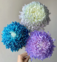 Grosir Bunga Potong Segar Peony Krisan untuk Dekorasi Rumah, Pernikahan, dan Festival dari Yunnan