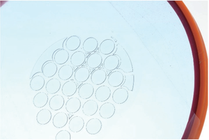 Machines de découpe <span class=keywords><strong>laser</strong></span> en verre d'équipement à fibre optique haut de gamme haute performance - Product Image 4