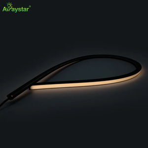IP67 Silicone Đen Neon dải ánh sáng <span class=keywords><strong>Led</strong></span> dây dải ánh sáng 13*13 mét DC24V Top uốn cong <span class=keywords><strong>Led</strong></span> Neon <span class=keywords><strong>Flex</strong></span> - Product Image 3