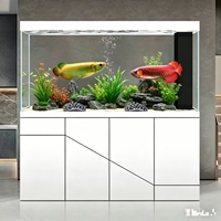 High-end Stainless Steel Arowana Tank Modern Patio Living Large Aquarium 120L Ultra-white Glass Screen Partition Bottom Box