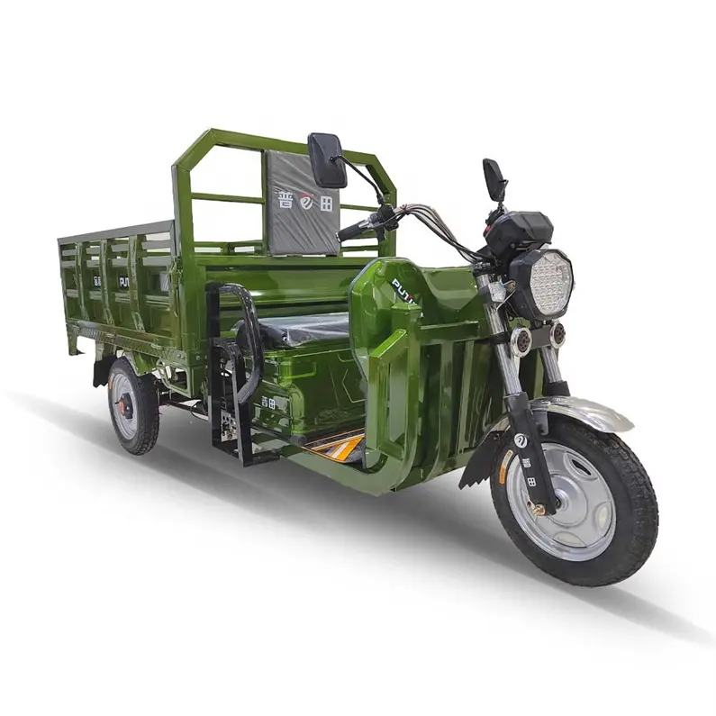 Tricycle électrique pour adultes, nouveau Design cee 200cc 250cc 300cc Trike Roadster