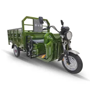 성인을 위한 새로운 디자인 Eec 200cc 250cc 300cc Trike 로드스터 전기 세발자전거