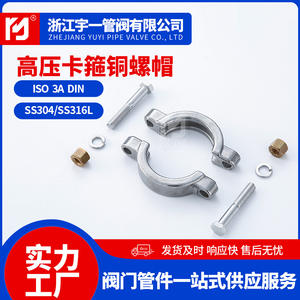 Colliers de serrage haute pression à double boulon fournis par le fabricant avec écrous en cuivre poli, collier de serrage pour tuyaux en acier inoxydable - Product Image 3