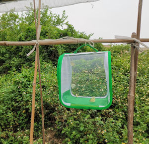 Фабричная оптовая продажа, складной ПВХ, дом-жучок, Террариум, Модернизированная клетка для обитания рептилий и бабочек, твердый узор - Product Image 3