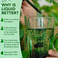 Hatmanlabs Booster de soutien du système immunitaire à base de plantes Gouttes liquides de chlorophylle aromatisées Supplément déodorant interne