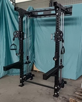 Dinuo Appareil de musculation compact mural avec poulie de 80 kg – Machine à câble en acier de 3 mm peu encombrante pour la maison et la salle de sport