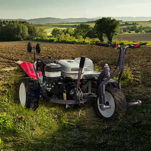 Vendita diretta in fabbrica di macchinari e attrezzature agricole Wasteland fruttard a tre <span class=keywords><strong>ruote</strong></span> <span class=keywords><strong>motozappa</strong></span> con CE - Product Image 6
