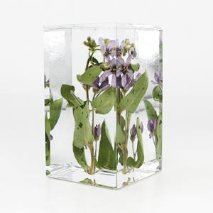 Vraies fleurs en résine époxy artisanat jardin paysage presse-papiers Table bureau décoration nouveauté cadeau Saint Valentin Festival <span class=keywords><strong>ami</strong></span> - Product Image 6