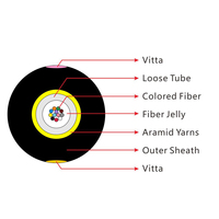 Kabel Drop FTTH JET 24 Core G652D/G657A1/G657A2 Loose Tube Kabel Serat Optik Indoor dengan Jaket LSZH Hitam Bersertifikasi ISO9001