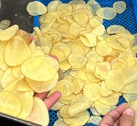 Commerciële automatische wortelgroentesnijmachine voor aardappel, zoete aardappel, taro, yam, reepjes & plakjes verwerking