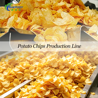 Shepody Multifunctionele Volledig Automatische Productielijn voor Verse Aardappelchips en Frieten, Aardappelchipsmachine