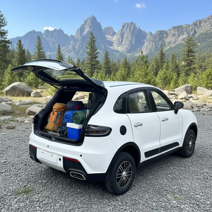 Coche Eléctrico de Baja Velocidad LDMA Cerrado, Venta Caliente en China 2026, con Aire Acondicionado, Autonomía de 201-300 km para Transporte Urbano - Product Image 3