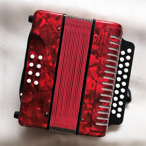 Đàn Accordion 21 phím 8 âm trầm, có hộp đựng cứng ABS, đàn Bayan - Product Image 2