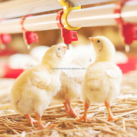 YYC Poulet Ferme Automatique Volaille Potable Mamelons Poulet Mamelon Buveur pour Éleveur De Poulet