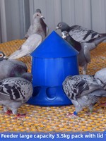 Mangeoire et abreuvoir automatiques en plastique épaissi, lavables, pour pigeons, poulets, canards, oies, cailles, boîte à grain