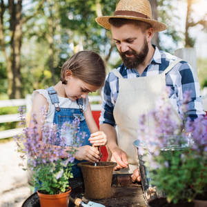 Taza de plántulas de palma de coco <span class=keywords><strong>maceta</strong></span> de plántulas de nutrición <span class=keywords><strong>maceta</strong></span> de crecimiento de plantas verdes suministros de jardinería de plantas verdes - Product Image 3