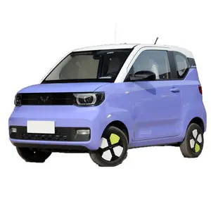 핫 세일 새로운 에너지 전기 자동차 판매 Wulinghongguang 미니 전기 자동차 차량 저렴한 전기 EV 자동차