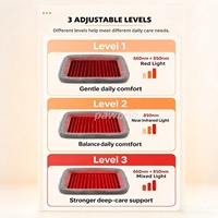 Lit de thérapie par lumière rouge orthopédique pour petits chiens et chats, 660 nm 850 nm, coussin de thérapie infrarouge, soulagement de la douleur, récupération des articulations et des muscles, portable