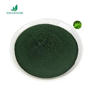 Nhà máy cung cấp protein 65% Chlorella chiết xuất tảo Chlorella Chlorella pyrenoidosa bột - Product Image 2