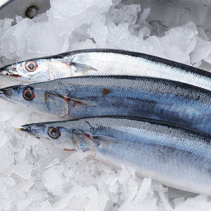 Pesce Sgombro del Pacifico Congelato all'Ingrosso dalla Cina, Cololabis Saria, Sgombro Congelato, Pesce di Mare Congelato - Product Image 1