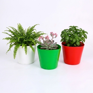 Maceta Cuadrada de Plástico Colorida al por Mayor, Duradera, de PP, para Plantas de Interior y Exterior, Jardín y Hogar, Tamaño 18 - Product Image 1