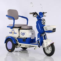 Tricycle à passagers 72V800W 32AH, tricycle à passagers japonais, vélo électrique, vélo électrique de loisirs