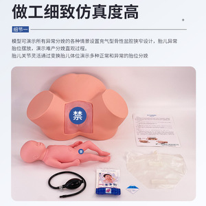 Modèle d'enseignement avancé en sage-femme, modèle de démonstration de naissance, modèle d'examen gynécologique, modèle de démonstration du travail et de l'accouchement - Product Image 3