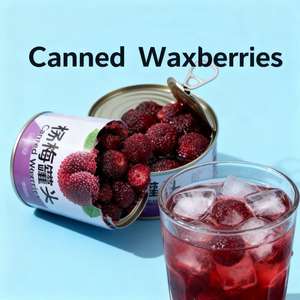 Taze Toplanmış Bayberry Meyvesi Kutusu - İhracat Kalitesi, Yüksek Et İçeriği, Katkı Maddesi İçermez, Toplu Tedarik ve OEM - Product Image 2