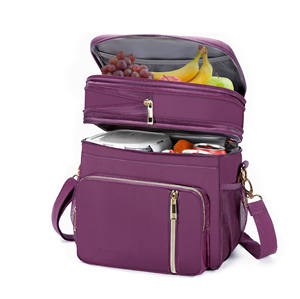 Sac isotherme en polyester de 24 L avec fermeture éclair pour hommes et femmes – Nouveau modèle décontracté - Product Image 1