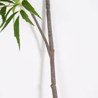 Bouquet de fleurs en plastique décoratif pour aménagement paysager, décoration de plantes, décoration intérieure, plantes artificielles, fleurs artificielles