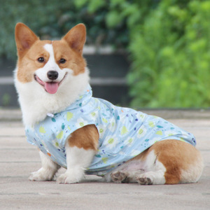 Impermeable para Perro Corgi, Delgado, de Dos Patas, con Estampado Floral, Ropa para Mascotas, para las Cuatro Estaciones, Ropa para Perros Pequeños - Product Image 1