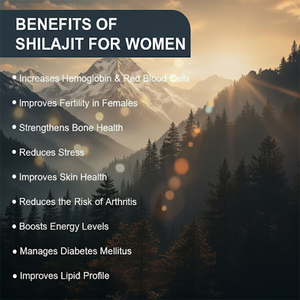 OEM Etiqueta Privada Natural Original Premium Oro Puro Himalaya Shilajit Resina 8 en 1 Honey Stick Extracto Gummies - Product Image 4