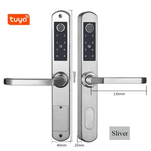 OEM Double side waterproof outdoor gate door mortise latch doors handle with locks & keys keyless entry smart lock fingerprint