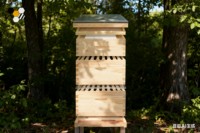 Imkerei-Ausrüstung Natürlicher Holz-Bienenstock mit 3 Ebenen Langstroth-Bienenstock mit 30 Bienenrahmen