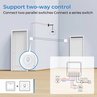 Módulo de Interruptor Inteligente WiFi SLS para Tuya, 16A, Mini, 220V, Control de Voltaje Máximo, Relé, Temporizador, Automatización Inalámbrica con Alexa y Google Home