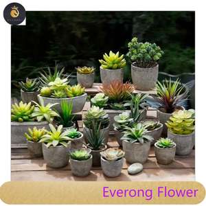 미니 인공 장식 홈 다육 식물 세트 분재 벌크 wiEV 라운드 냄비 - Product Image 1