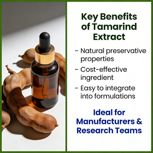 टेमींड निकालने का पाउडर 30 20:1 10:1: 1 पानी में घुलनशील पाउडर टेमारंड पाउडर टेमारंड फल निकालने - Product Image 2