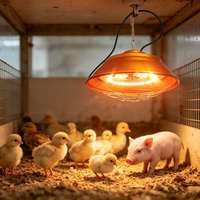 Lampe chauffante à température réglable pour porcs, canards, volailles, animaux de compagnie, chauffage pour poulailler