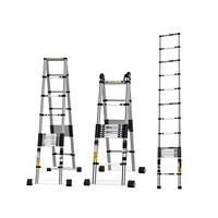 Échelle télescopique industrielle en acier inoxydable avec verrouillage manuel, capacité de charge de 150 kg, design moderne pour usage en appartement