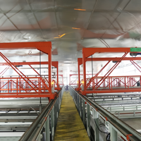 Machines d'anodisation personnalisées en aluminium et titane, type grue portique, équipement de traitement de surface par électrolyse de l'aluminium