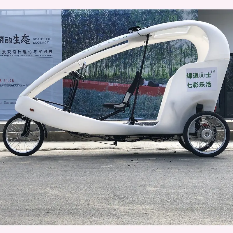 Elettrico di alta Qualità Velo di Taxi, A Tre Ruote Ciclo Del Motore 1000w Elettrico Risciò Pedicab Per La Vendita